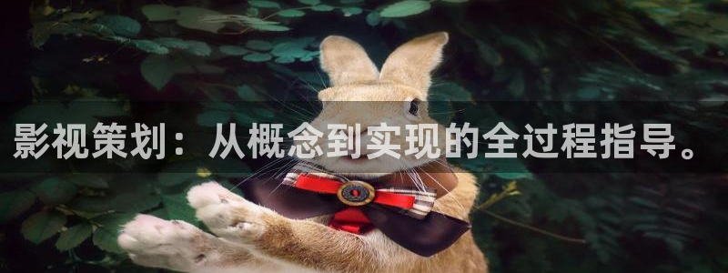 香蕉a久久影院：影视策划：从概念到实现的全过程指导。