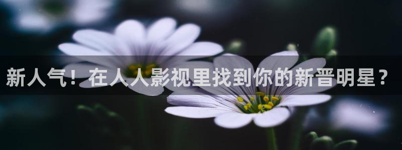 久久视频在线视频观看(