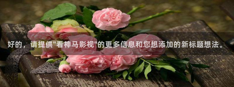 久久免费视频久久看