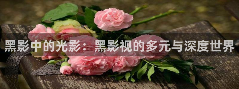 久久热在线视频看看
