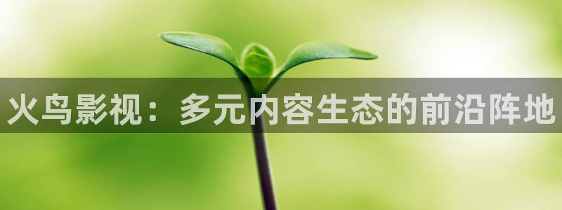 久久视频了