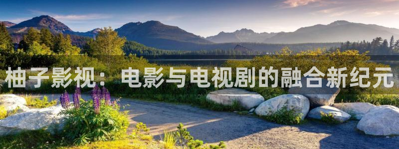 久久视频一区二区