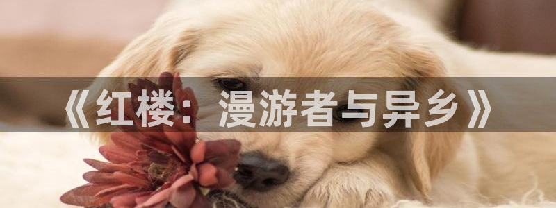 这里只有精品视频久久99