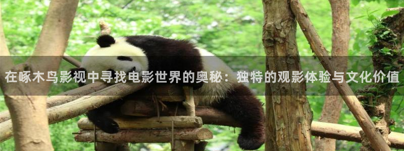 久久精品国产欧美高清